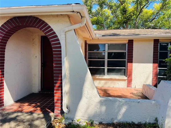 a view of backyard with large tree