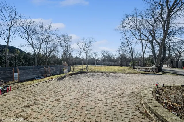 a view of a yard with trees