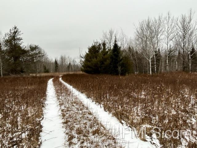 Tbd5 Larson Road Atlantic Mine, MI 49905 - Photo 24 of 56 Gallery Image 24