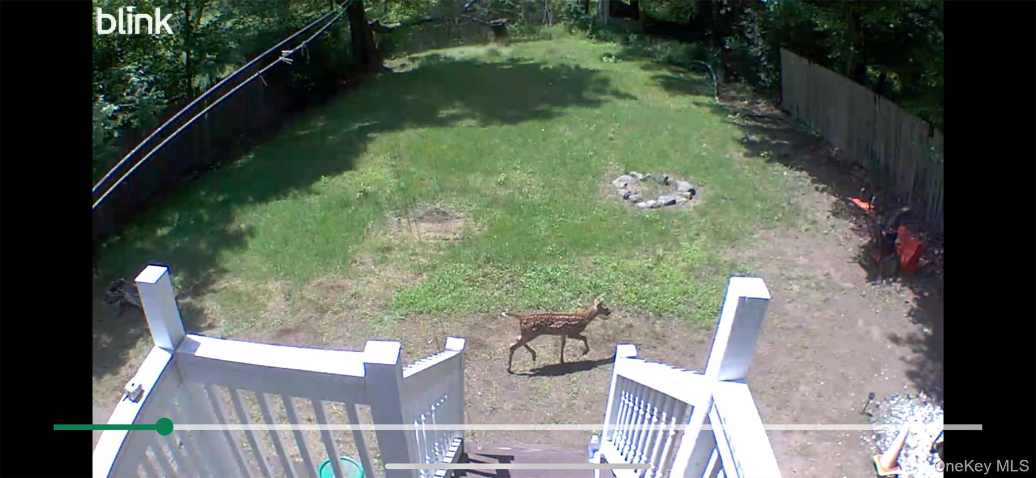 57 Menges Road Youngsville, NY 12791 - Photo 20 of 22 a view of yard from deck view