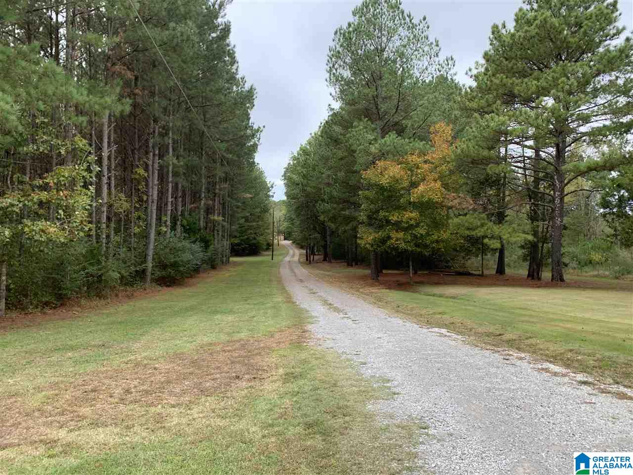 396 Holland-Finley Road Jacksonville, AL 36265 - Photo 5 of 37
