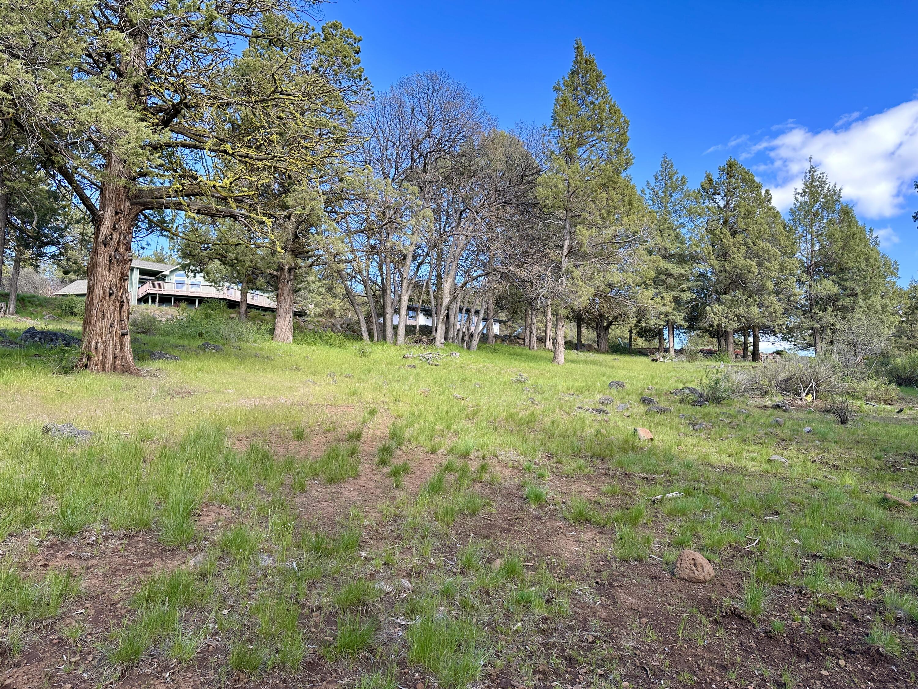 Lot 805 Cooper's Hawk Road Klamath Falls, OR 97601 - Photo 13 of 27 IMG_8332