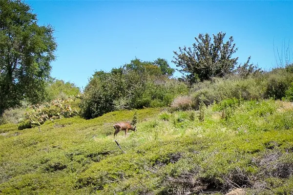 $4,200 | 85 Mira Mesa, Rancho Santa Margarita, CA 92688