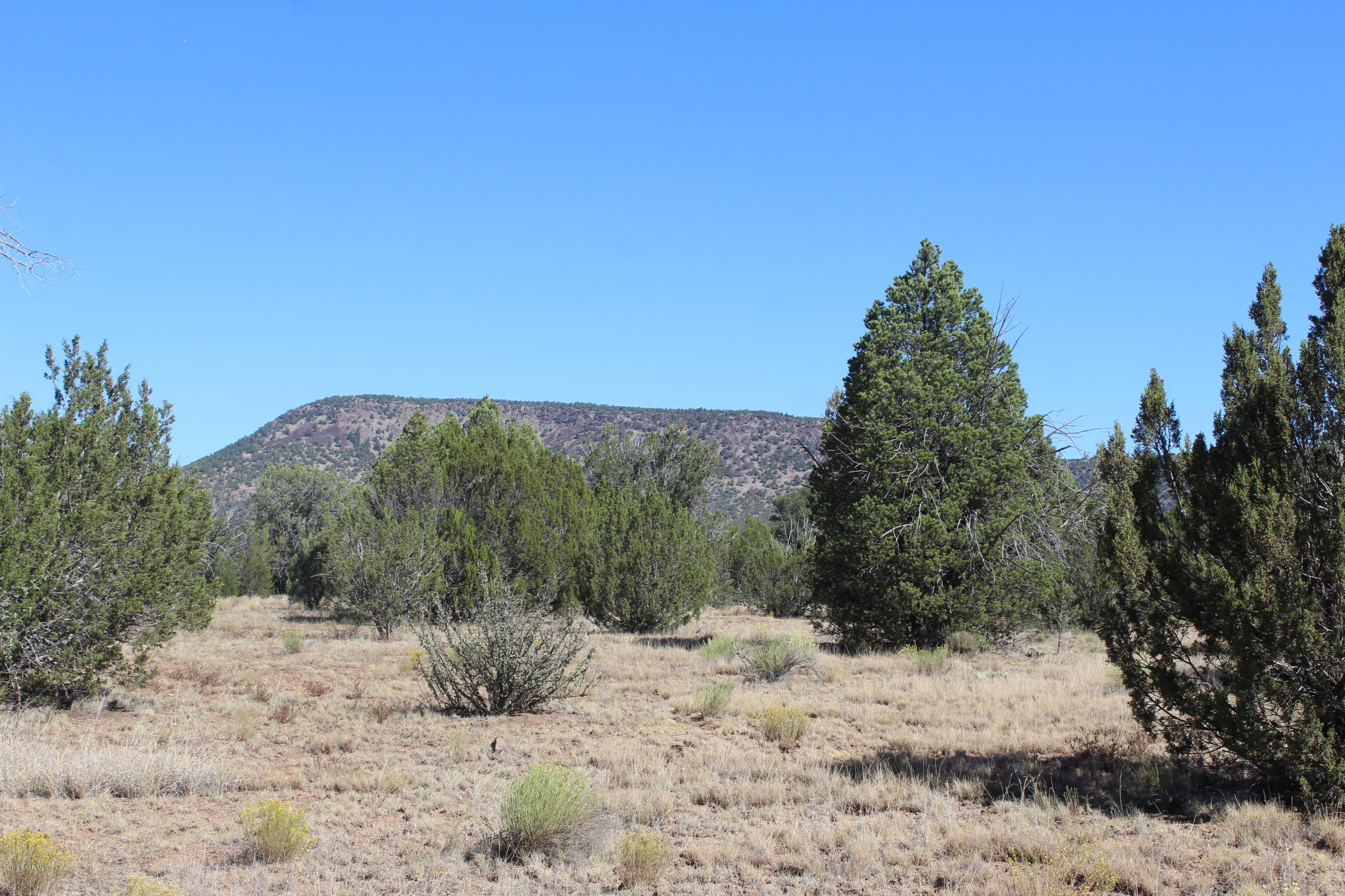 Lot 185 Fort Rock Road Seligman, AZ 86337 - Photo 1 of 7 Big trees and Mountain Views