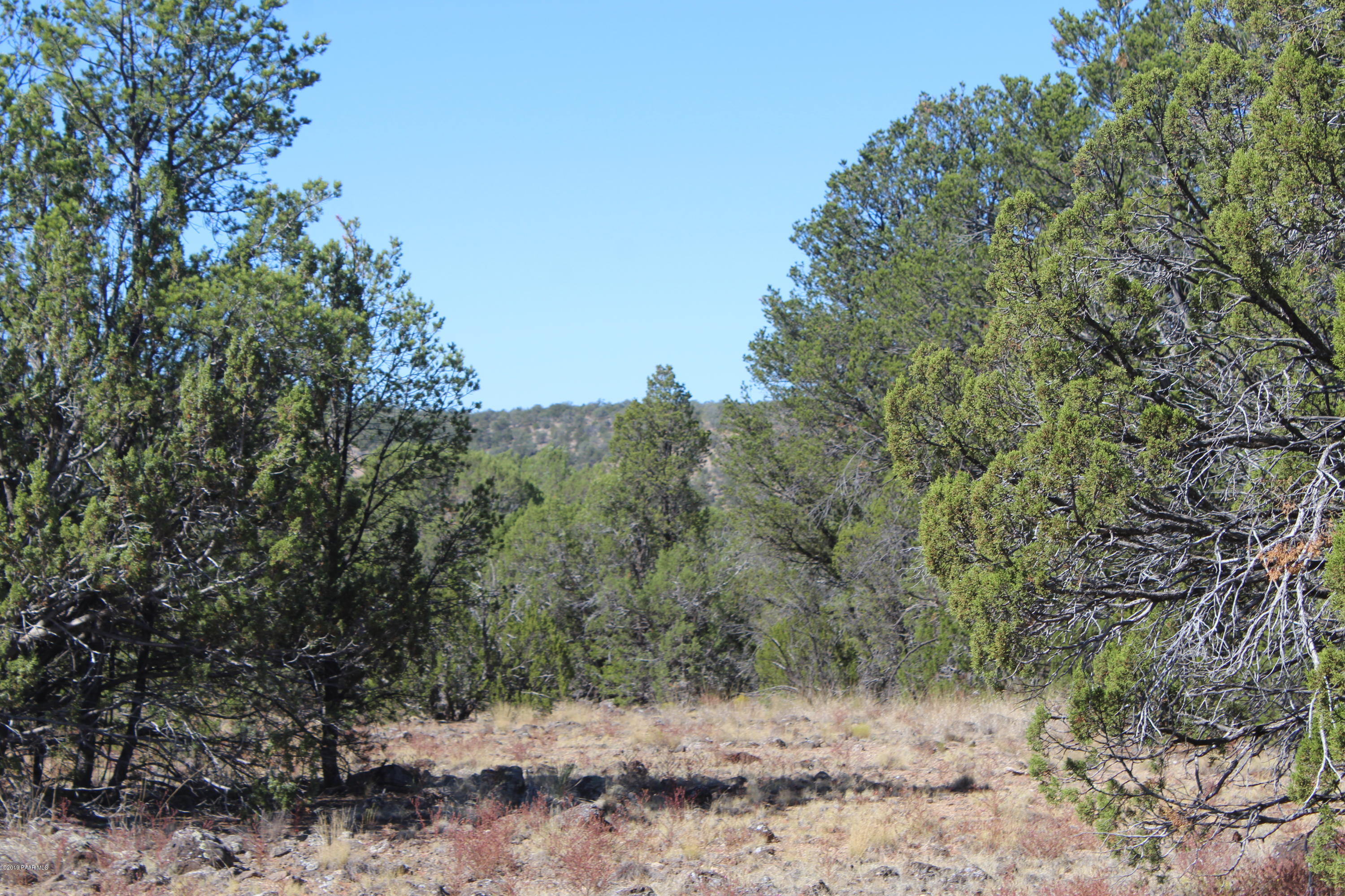 Lot 185 Fort Rock Road Seligman, AZ 86337 - Photo 3 of 7 IMG_3270