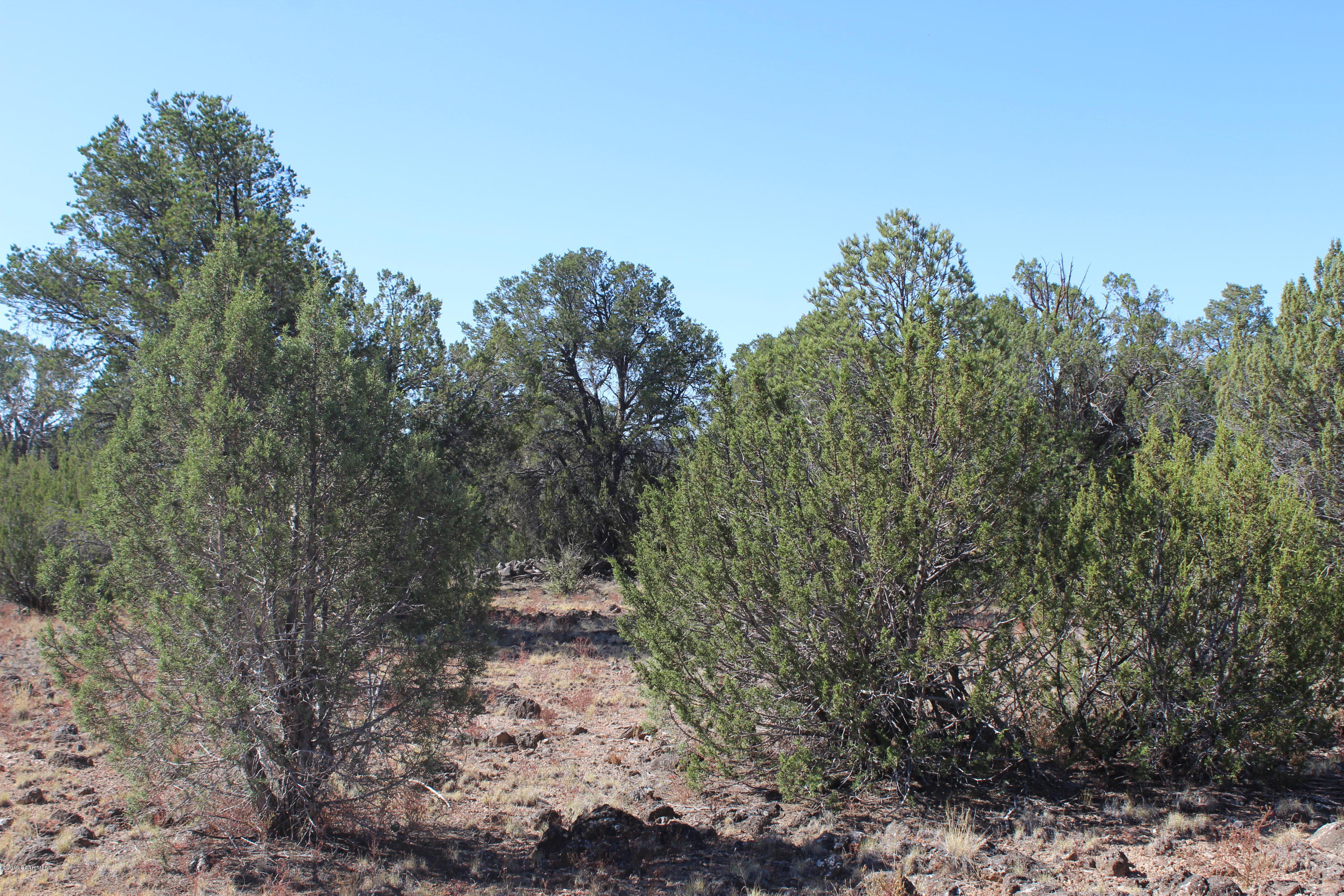 Lot 185 Fort Rock Road Seligman, AZ 86337 - Photo 4 of 7 IMG_3271