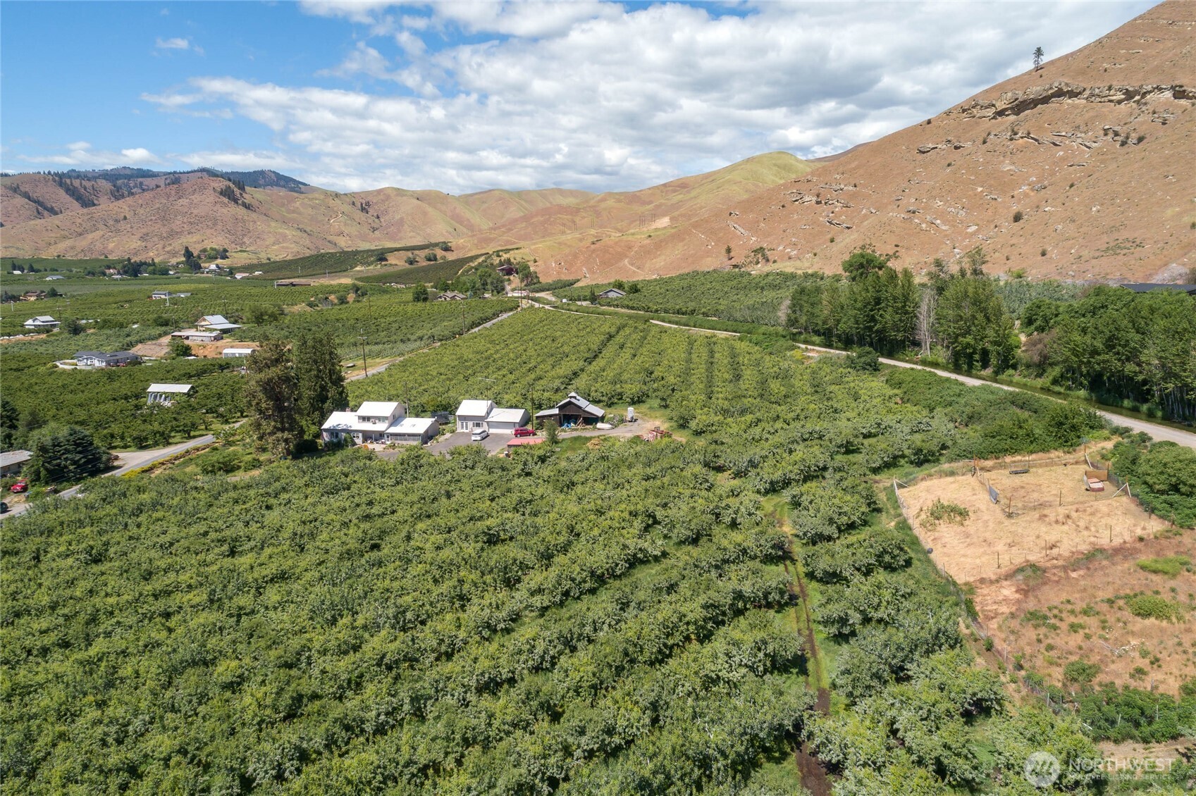 0 Red Apple Road Cashmere, WA 98815 - Photo 16 of 38 a view of a lush green field with mountains in the background