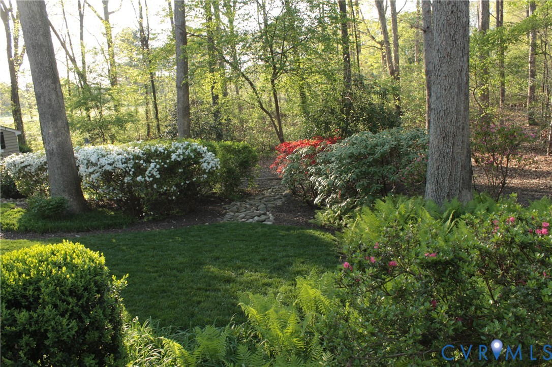 11920 Rothbury Drive Richmond, VA 23236 - Photo 61 of 68 a view of a garden with plants and large trees