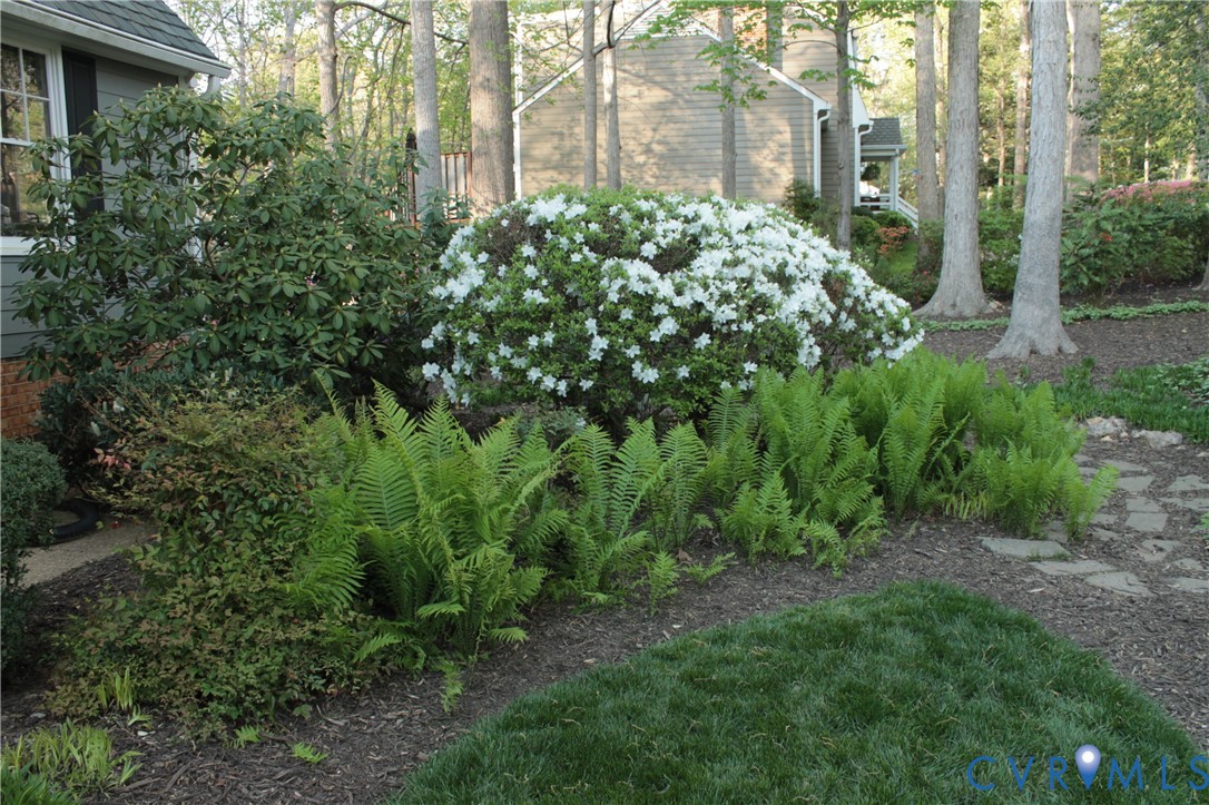 11920 Rothbury Drive Richmond, VA 23236 - Photo 63 of 68 Spring 2025