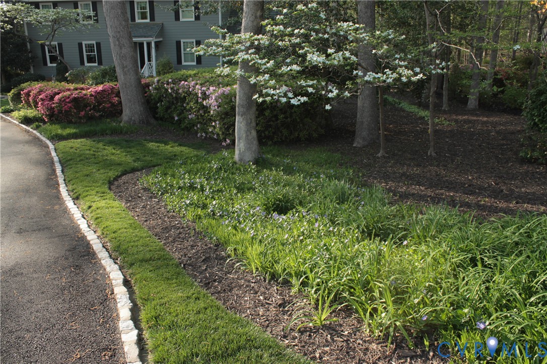 11920 Rothbury Drive Richmond, VA 23236 - Photo 64 of 68 a view of a garden with large trees