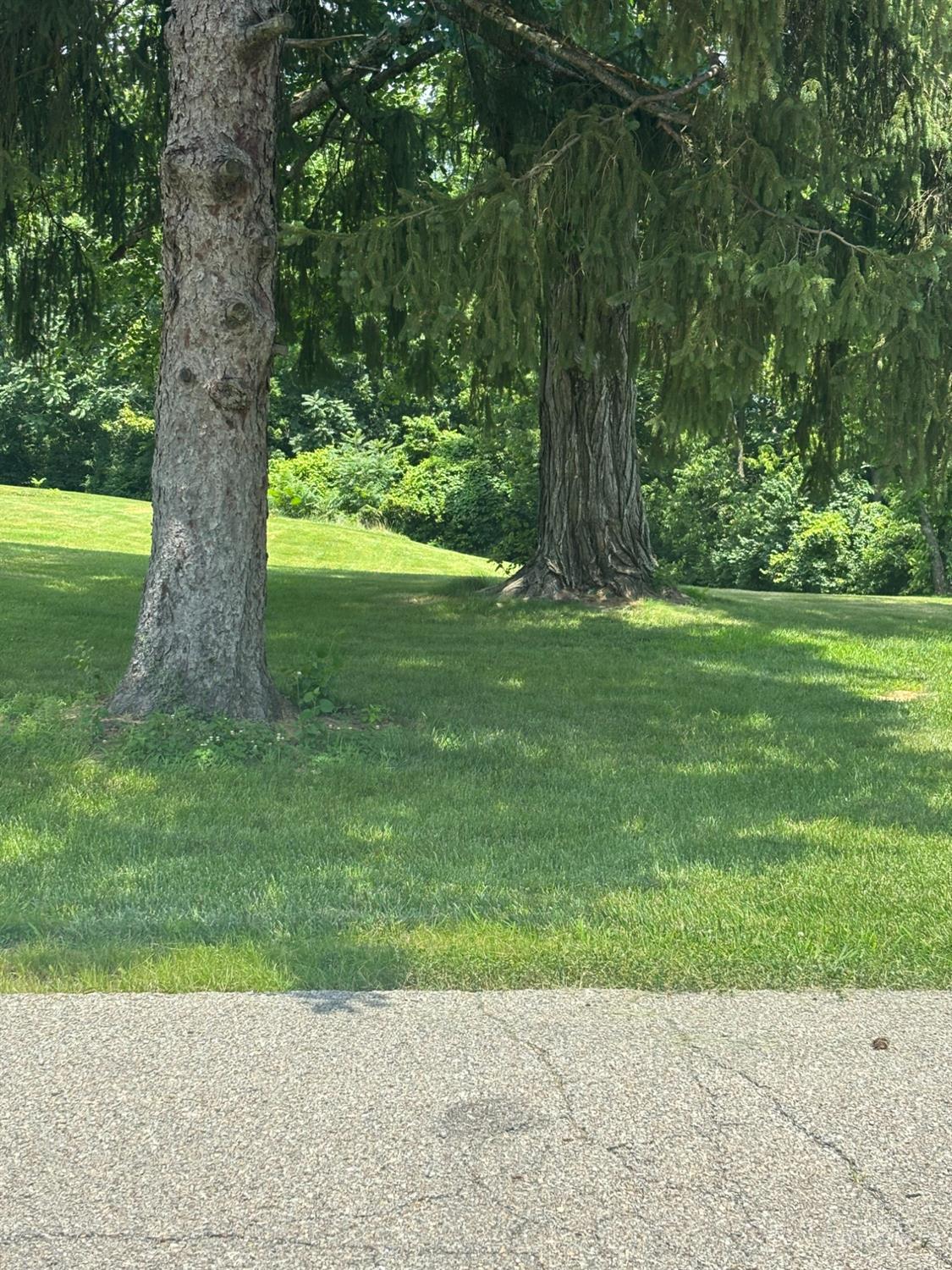 0 Cosmos Road Loveland, OH 45140 - Photo 1 of 1