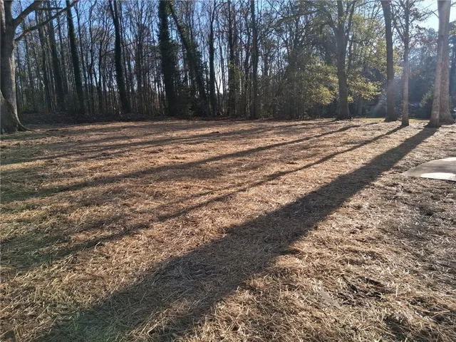 a view of large trees with a small yard