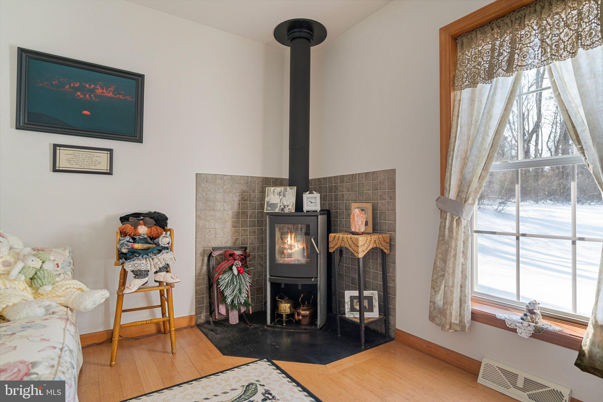 122 Lutz Road Boyertown, PA 19512 - Photo 15 of 39 Wood stove