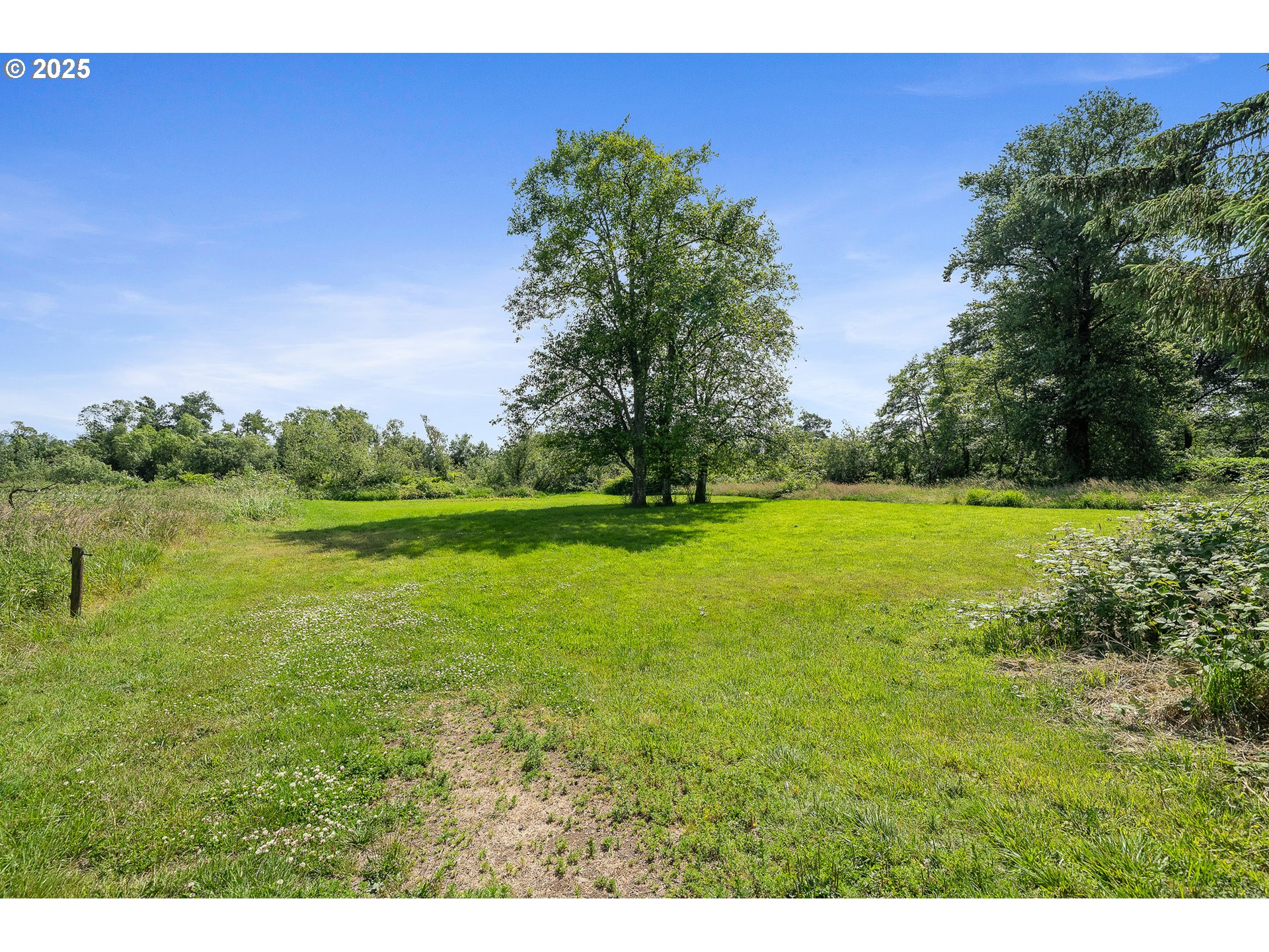 9065 Trask River Road Tillamook, OR 97141 - Photo 40 of 48 a view of a field with an trees