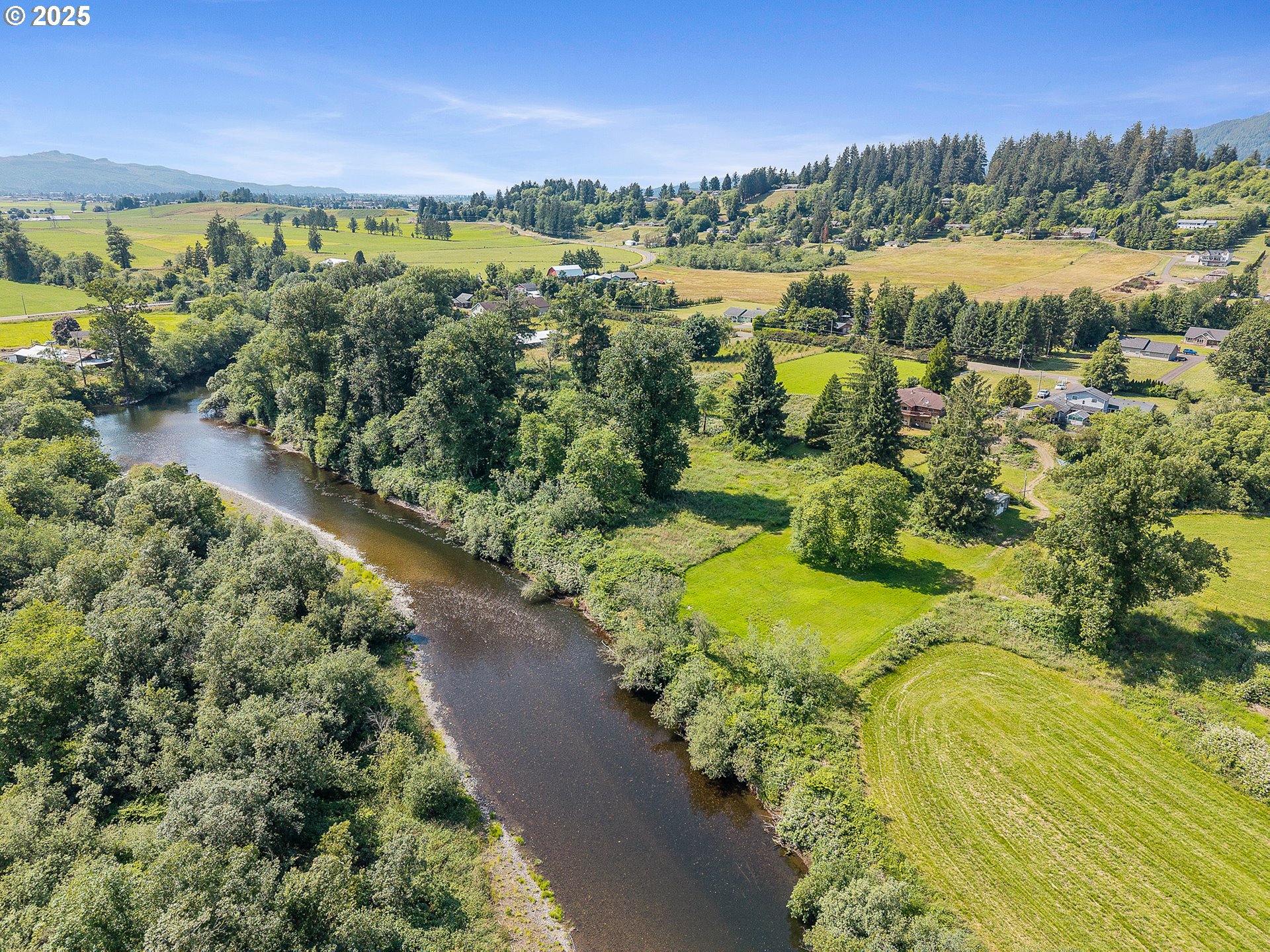 9065 Trask River Road Tillamook, OR 97141 - Photo 42 of 48 a view of a garden with mountains in the background