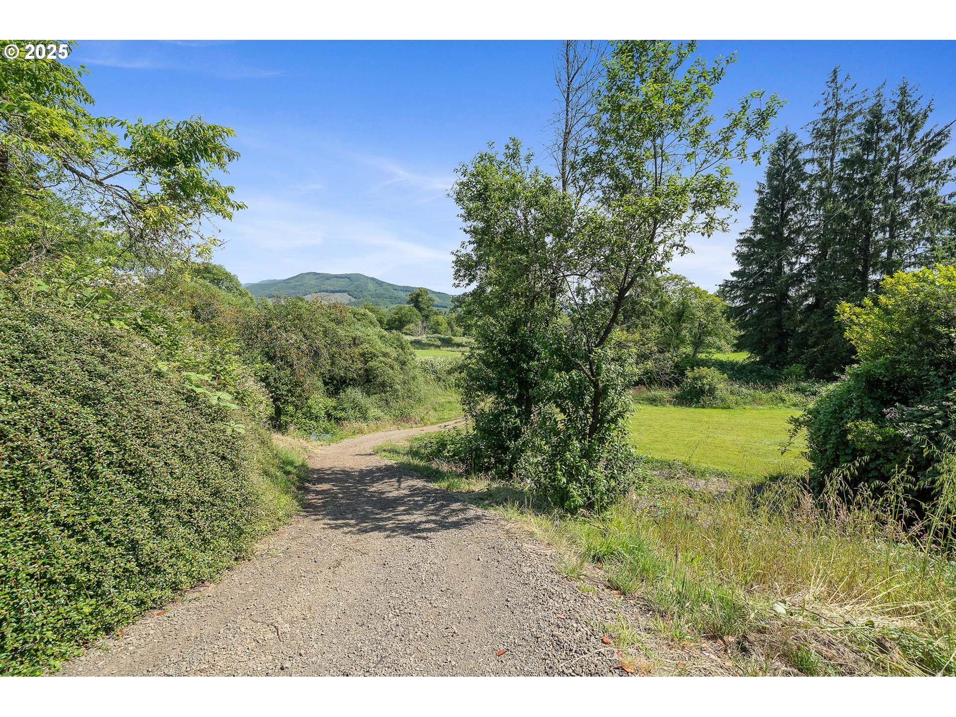 9065 Trask River Road Tillamook, OR 97141 - Photo 43 of 48 a view of a yard with a tree