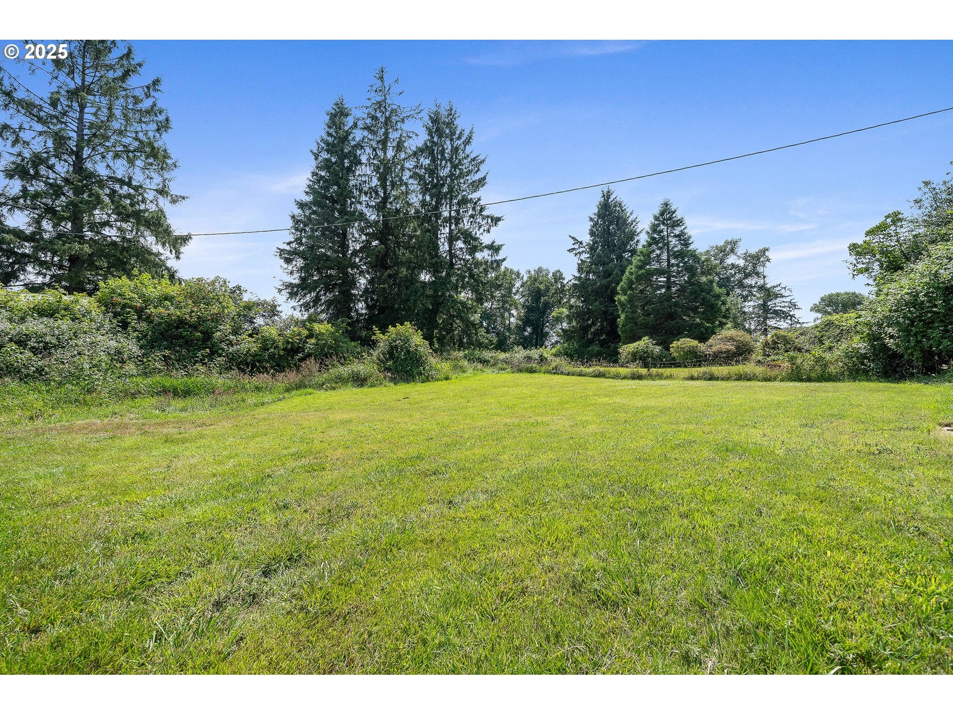 9065 Trask River Road Tillamook, OR 97141 - Photo 44 of 48 a view of a yard with a tree