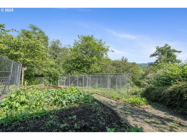 a backyard of a house with lots of green space