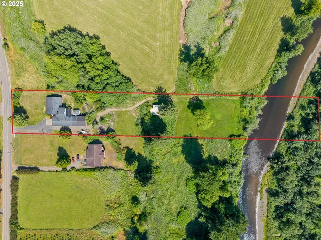 a view of a plant in a garden