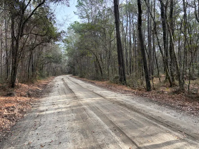 $155,000 | 0 Hercules Road, McClellanville, SC 29458