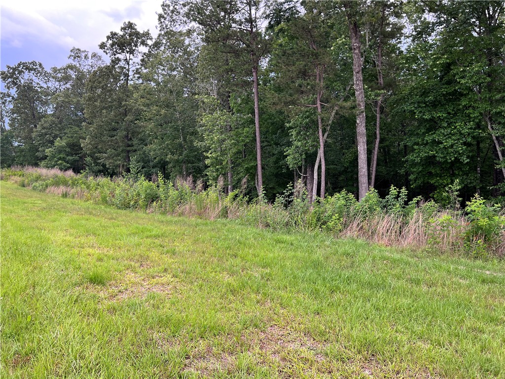 B1 B Lecroy Road Walhalla, SC 29691 - Photo 2 of 10 Gallery Image 2