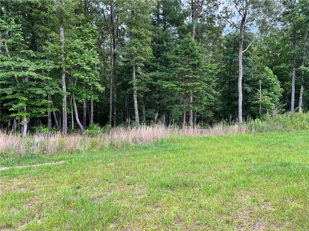 B1 B Lecroy Road Walhalla, SC 29691 - Photo 3 of 10 Gallery Image 3
