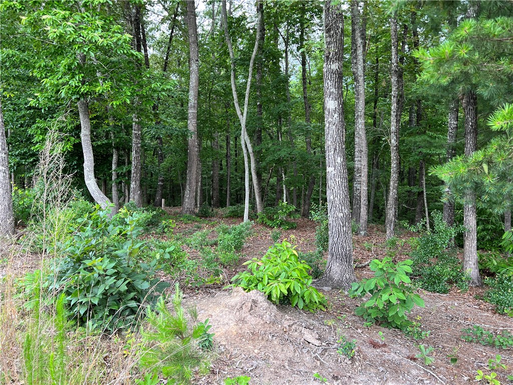 B1 B Lecroy Road Walhalla, SC 29691 - Photo 4 of 10 Gallery Image 4