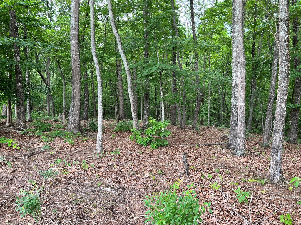 B1 B Lecroy Road Walhalla, SC 29691 - Photo 5 of 10 Gallery Image 5