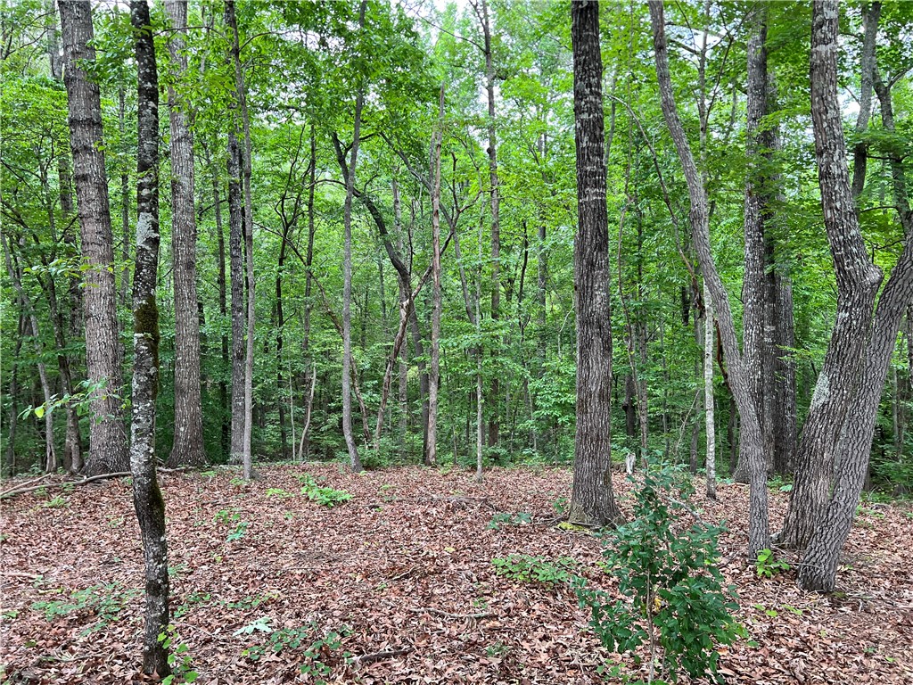 B1 B Lecroy Road Walhalla, SC 29691 - Photo 7 of 10 Gallery Image 7