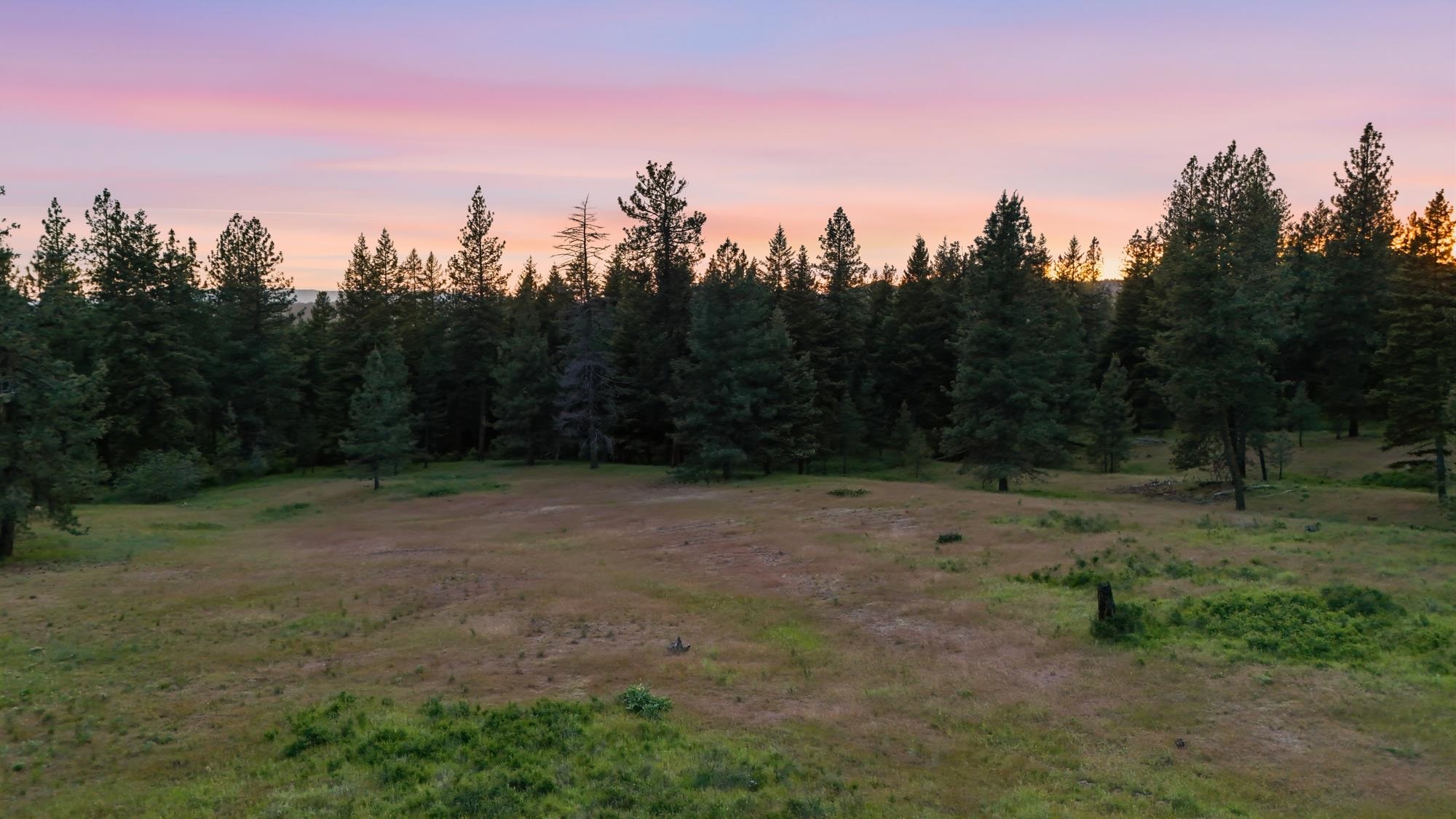 682 Henry Road Elk, WA 99009 - Photo 10 of 21