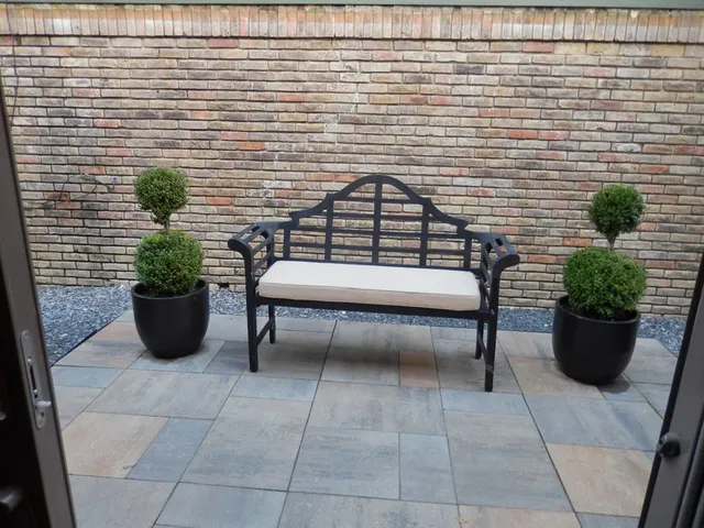 a view of a bench with potted plants