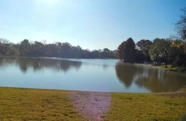 a view of a lake in middle of forest