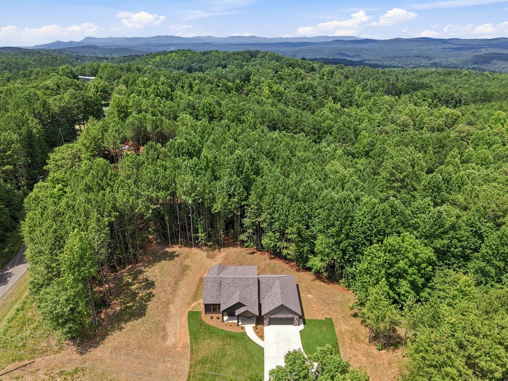 4016 Carver Mill Road Talking Rock, GA 30175 - Photo 36 of 44