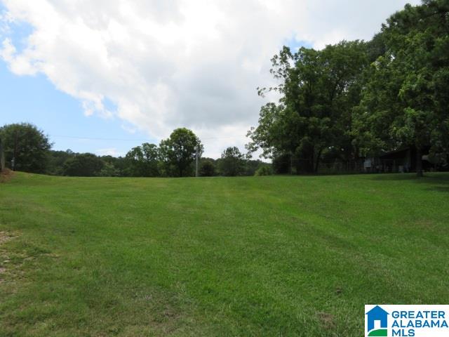 20025 Booler Road Vance, AL 35490 - Photo 37 of 48