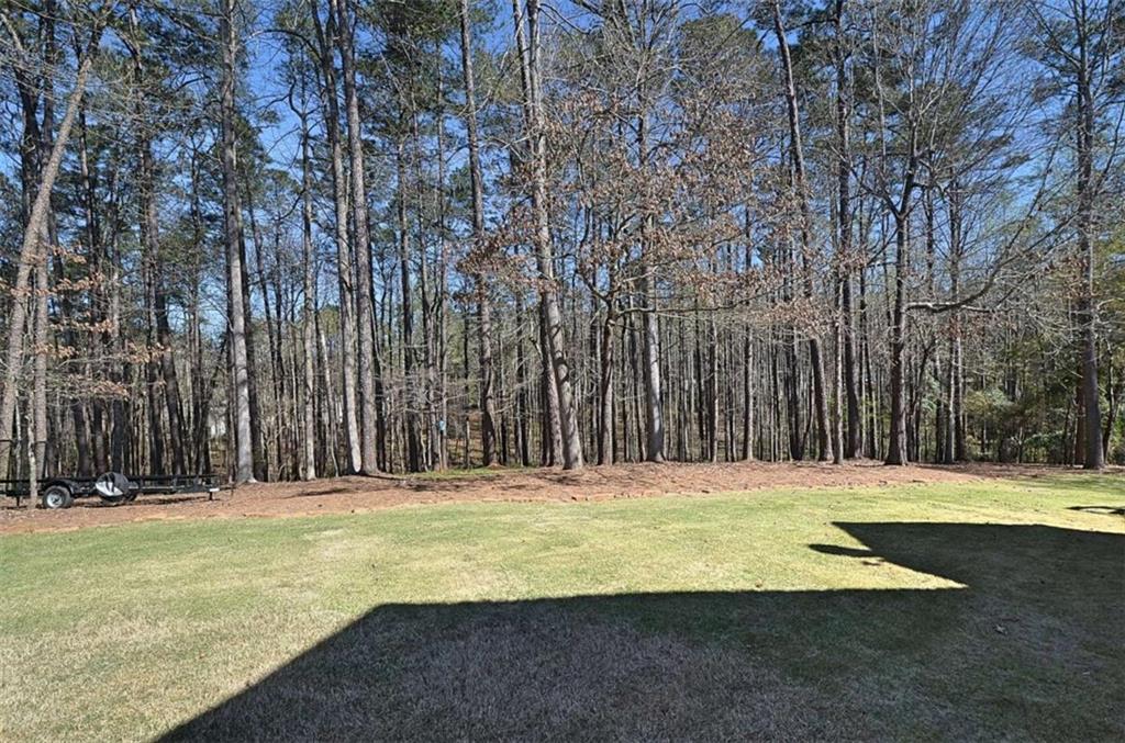 2713 Powell Court Monroe, GA 30656 - Photo 48 of 58