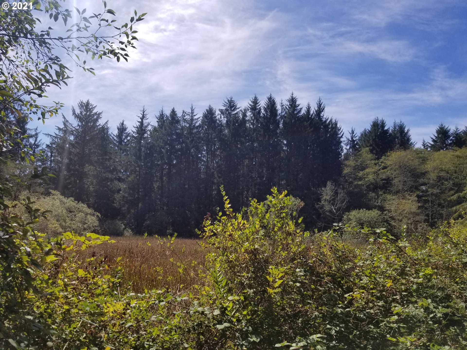 C Street Nehalem, OR 97131 - Photo 5 of 6