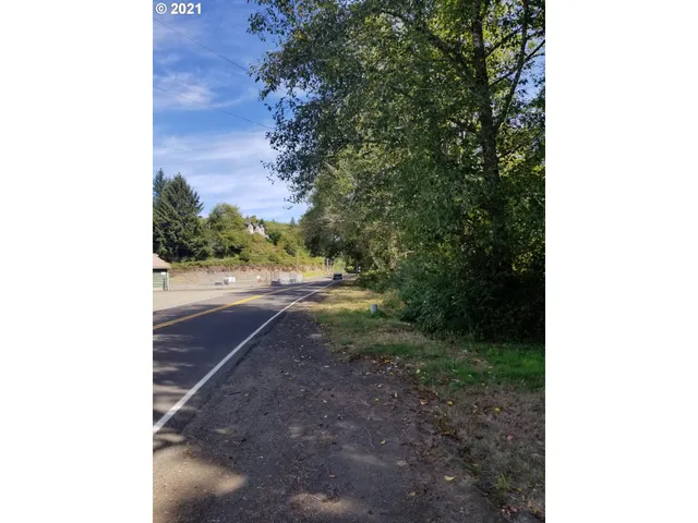 a view of a yard with plants and large trees