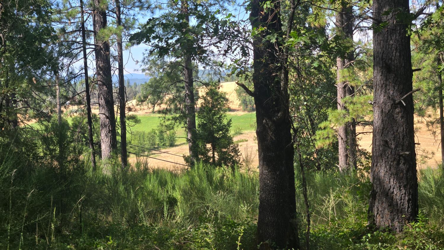 12042 Bitney Springs Road Nevada City, CA 95959 - Photo 1 of 19