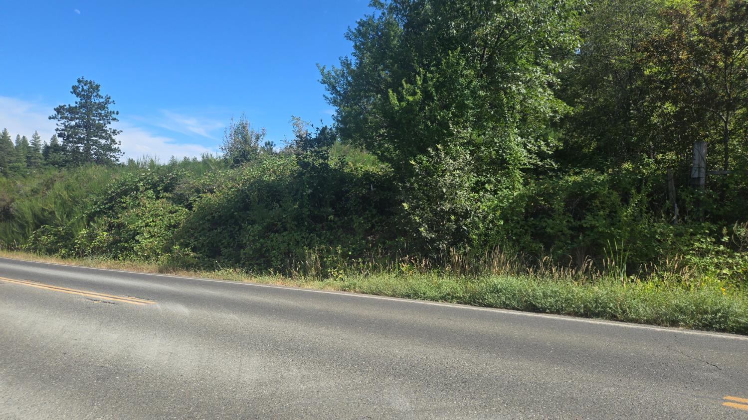 12042 Bitney Springs Road Nevada City, CA 95959 - Photo 3 of 19 a view of a roadside