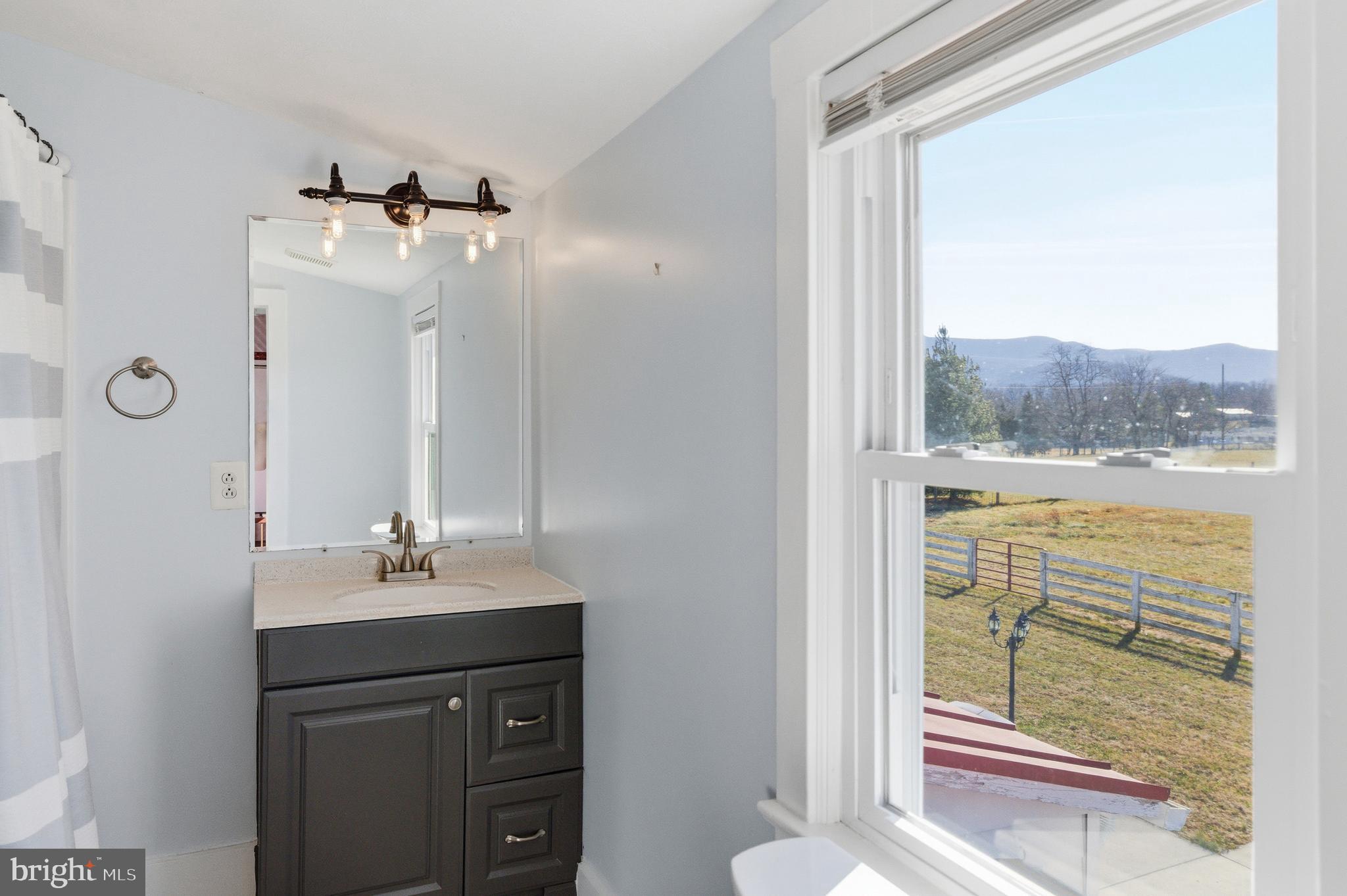 467 Vista Vw Road Stanley, VA 22851 - Photo 28 of 100