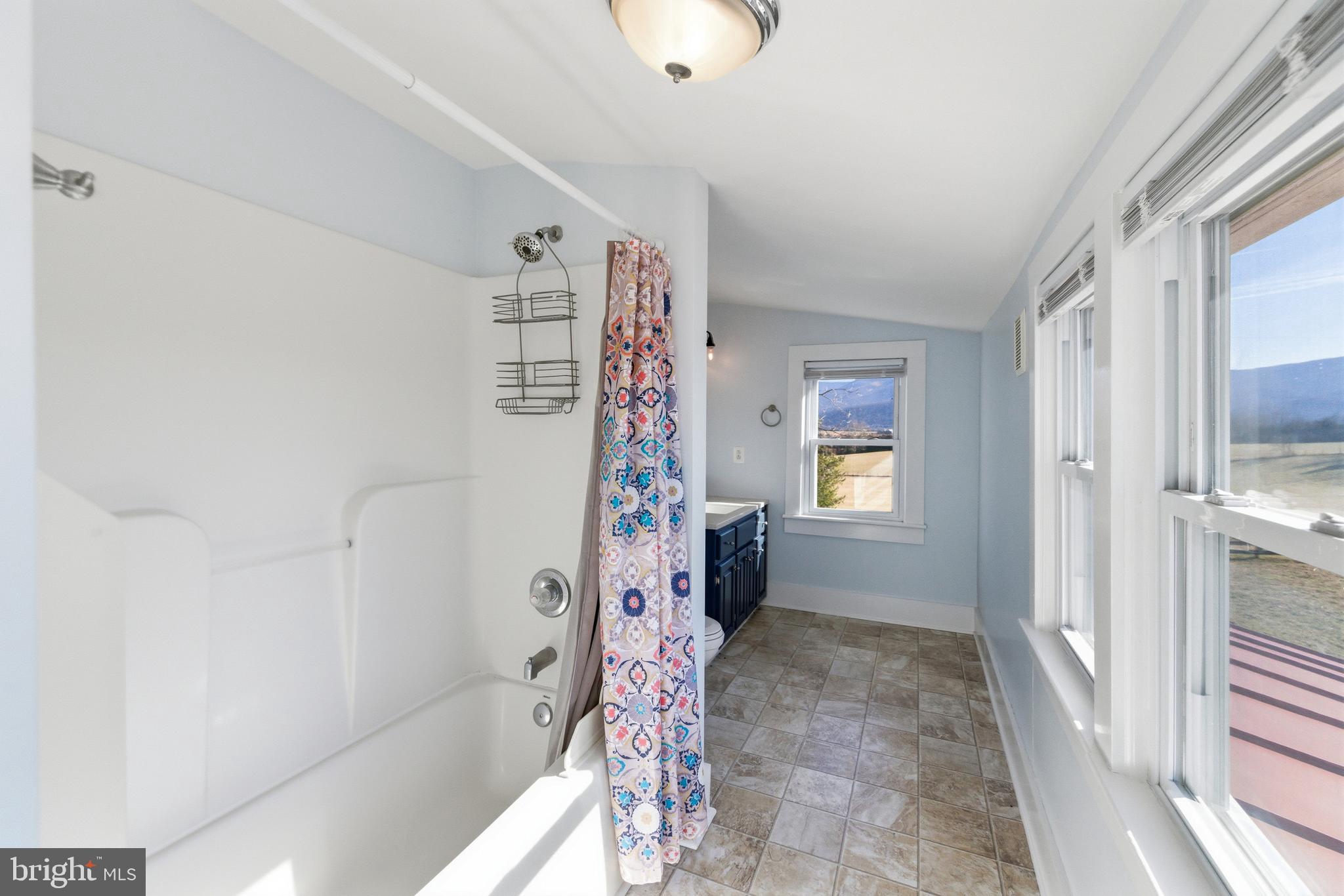 467 Vista Vw Road Stanley, VA 22851 - Photo 36 of 100