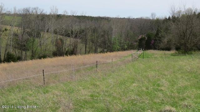 3050 Talmage-Mayo Road Salvisa, KY 40372 - Photo 33 of 45 IMG_1356