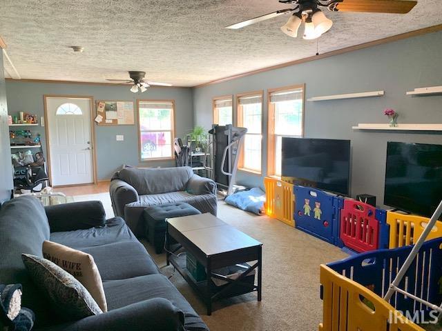 8549 East Sycamore Road Bloomfield, IN 47424 - Photo 5 of 17