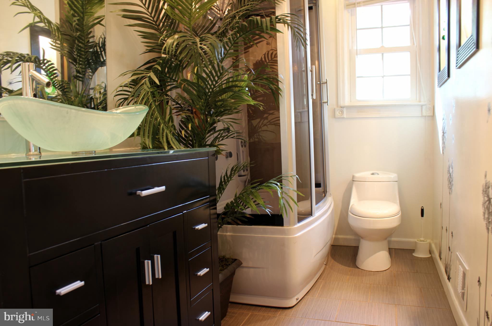 24300 Ridge Road Damascus, MD 20872 - Photo 13 of 30 Hall bath View-2