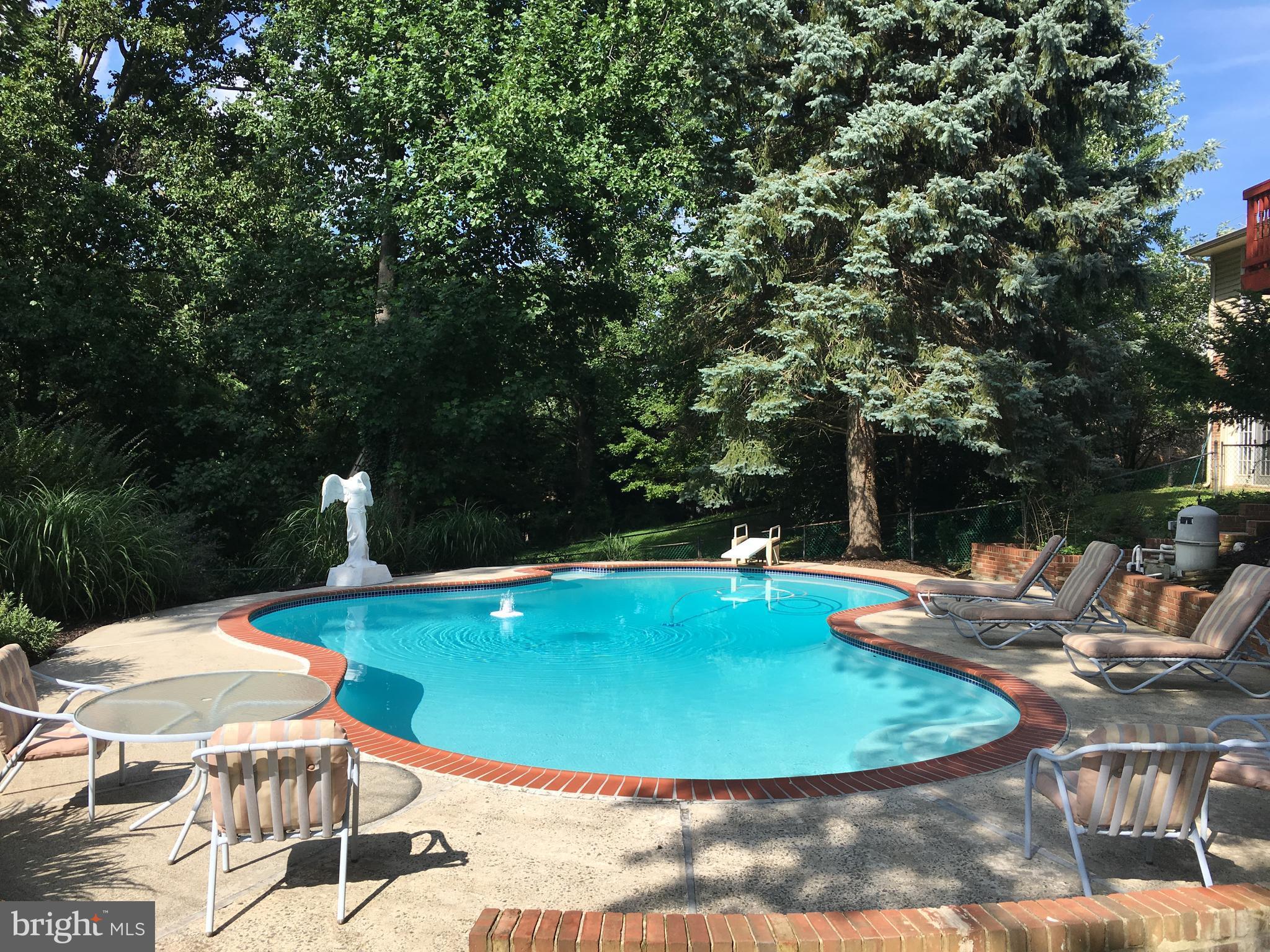 24300 Ridge Road Damascus, MD 20872 - Photo 29 of 30 Swimming Pool)