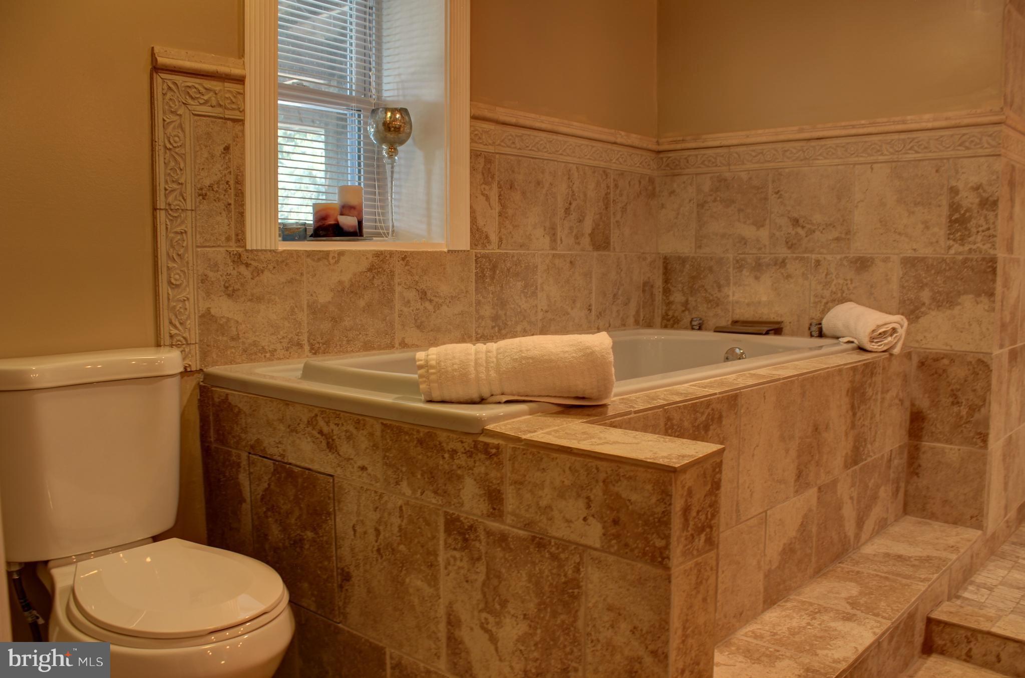 Master bath View1