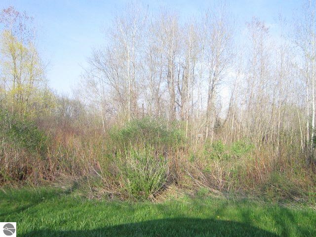 Tbd Pitt Road Sumner, MI 48889 - Photo 10 of 10 1783850-9.JPG