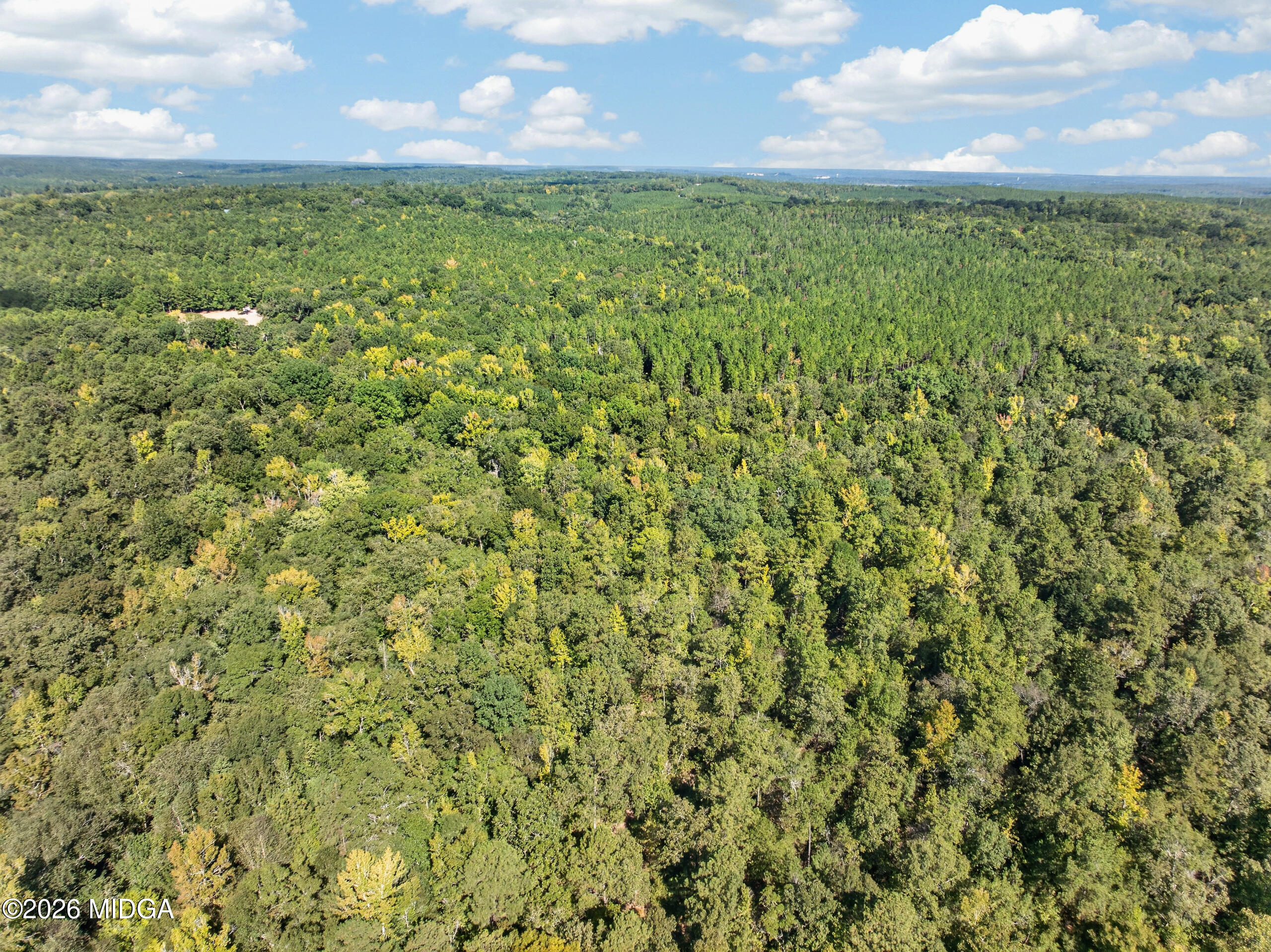 881 King Road Gordon, GA 31031 - Photo 34 of 44 DJI_0593