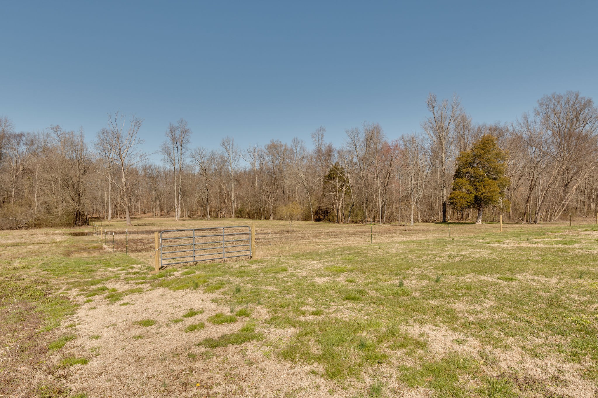349 Pomroy Road Manchester, TN 37355 - Photo 44 of 50
