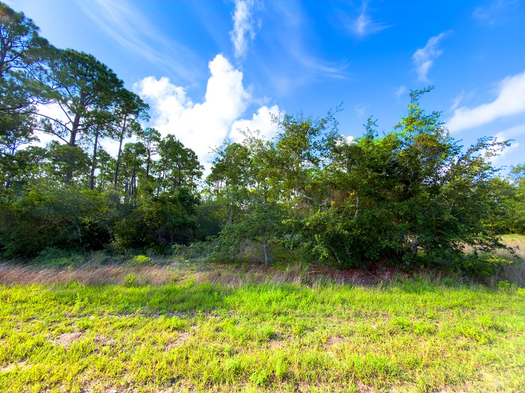 Lot 5 Indian Pass Road Port St. Joe, FL 32456 - Photo 10 of 11